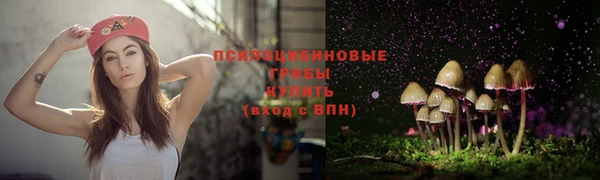 молекула духа Алексеевка