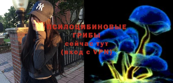 молекула духа Алексеевка