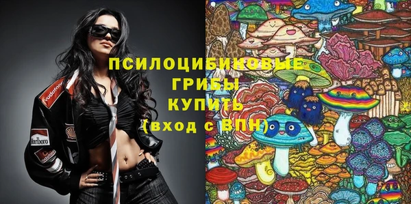 молекула духа Алексеевка