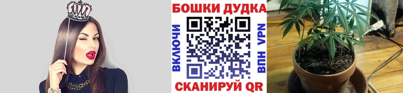 Шишки марихуана семена  Купить где  Саратов 